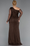 Long Brown Dantelle Plus Size Evening Gown ABU6339