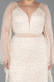 Long Beige Beaded Plus Size Evening Dress ABU6350