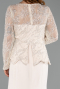 Long Beige Plus Size Evening Gown ABU6413