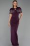 Long Plum Evening Dress ABU5889