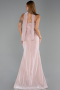 Long Powder Color Beaded Evening Dress ABU6440
