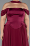 Long Plum Chiffon Plus Size Evening Dress ABU5551
