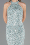 Long Mint Dantelle Prom Gown ABU6578