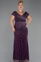 Long Purple Stony Plus Size Evening Dress ABU5439