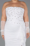 Long White Dantelle Formal Plus Size Dress ABU6364