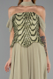 Long Pistachio Green Chiffon Formal Plus Size Dress ABU6535