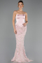 Long Powder Color Dantelle Evening Dress ABU6656