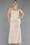 Long Beige Beaded Plus Size Evening Gown ABU6632