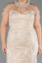 Long Beige Beaded Plus Size Evening Gown ABU6632