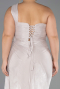 Long Mink Chiffon Plus Size Evening Gown ABU6631