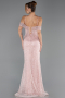 Long Powder Color Dantelle Plus Size Engagement Dress ABU6694