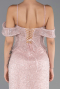 Long Powder Color Dantelle Plus Size Engagement Dress ABU6694