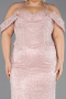 Long Powder Color Dantelle Plus Size Engagement Dress ABU6694