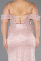 Long Powder Color Dantelle Plus Size Engagement Dress ABU6694