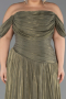 Long Olive Drab Chiffon Plus Size Evening Dress ABU6603