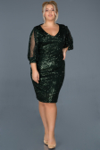 Short Green Plus Size Evening Dress ABK631