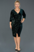 Short Emerald Green Plus Size Evening Dress ABK653