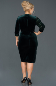 Short Emerald Green Plus Size Evening Dress ABK653