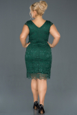 Short Emerald Green Oversized Evening Dress ABK010