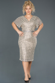 Short Gold Plus Size Evening Dress ABK686