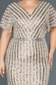 Short Gold Plus Size Evening Dress ABK686