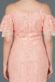 Long Powder Color Laced Evening Dress ABU1156