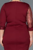 Short Burgundy Plus Size Evening Dress ABK810
