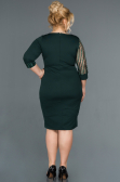 Short Emerald Green Plus Size Evening Dress ABK810