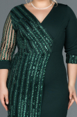 Short Emerald Green Plus Size Evening Dress ABK810