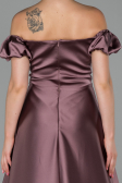 Long Mink Satin Evening Dress ABU1840