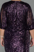 Dark Purple Short Plus Size Evening Dress ABK631