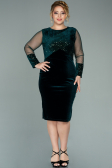 Short Emerald Green Sequined Velvet Plus Size Evening Dress ABK1152