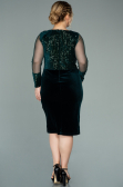 Short Emerald Green Sequined Velvet Plus Size Evening Dress ABK1152