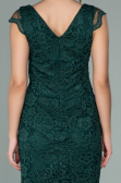 Emerald Green Short Evening Dress ABK010