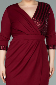 Short Burgundy Plus Size Evening Dress ABK1325