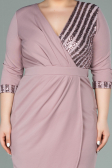 Short Powder Color Plus Size Evening Dress ABK1325