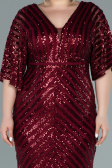 Long Burgundy Plus Size Evening Dress ABU2309