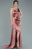 Long Onion Skin Prom Gown ABU2373