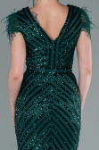 Emerald Green Long Evening Dress ABU881