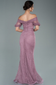 Long Powder Color Dantelle Evening Dress ABU2427