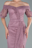 Long Powder Color Dantelle Evening Dress ABU2427