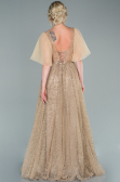 Long Gold Evening Dress ABU2472