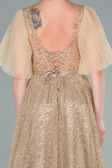 Long Gold Evening Dress ABU2472