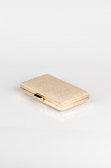 Gold Silvery Night Bag SH801