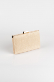 Gold Silvery Night Bag SH801