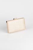 Gold Night Bag SH801