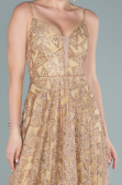 Long Gold Evening Dress ABU2551