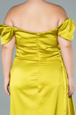 Pistachio Green Long Satin Plus Size Evening Dress ABU1626