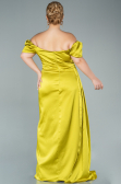 Pistachio Green Long Satin Plus Size Evening Dress ABU1626