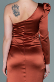 Long Brick Satin Evening Dress ABU2676